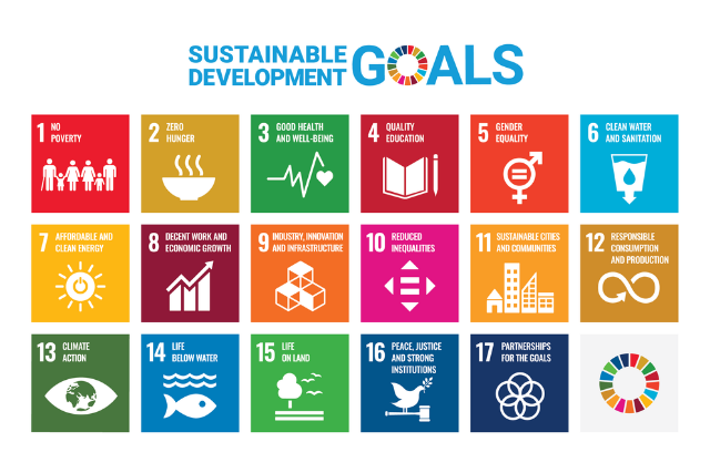 An introduction to the Sustainable Development Goals